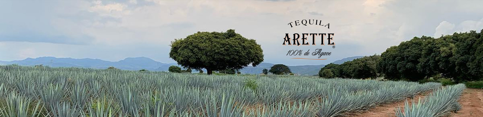 Tequila Arette